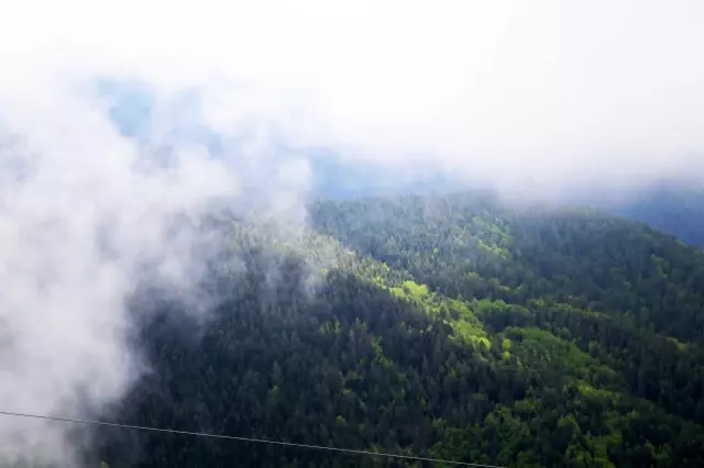 Ilgaz Dağı'nda oluşan sis görsel şölen sundu