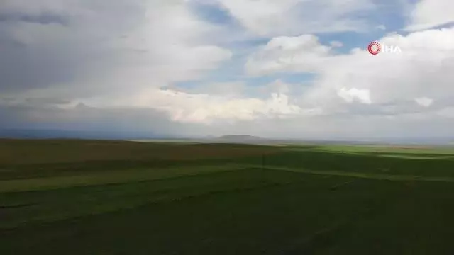Kars'ta etkili olan kuraklık, yetkilileri harekete geçirdi Kars'ta etkili olan kuraklık, yetkilileri harekete geçirdi
