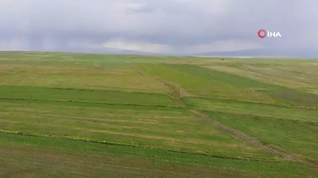 Kars'ta etkili olan kuraklık, yetkilileri harekete geçirdi Kars'ta etkili olan kuraklık, yetkilileri harekete geçirdi