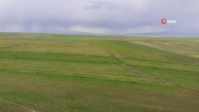 Kars'ta etkili olan kuraklık, yetkilileri harekete geçirdi Kars'ta etkili olan kuraklık, yetkilileri harekete geçirdi