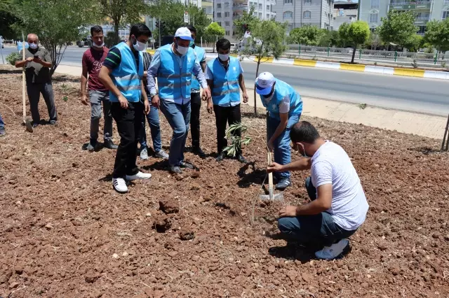 Kilis'te Dünya Çevre Günü dolayısıyla fidan dikim etkinliği düzenlendi
