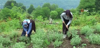 Kırsalın girişimci kadınları, bu projeyle daha da güçlendi