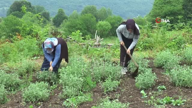 kirsalin girisimci kadinlari bu projeyle daha 14181758 o