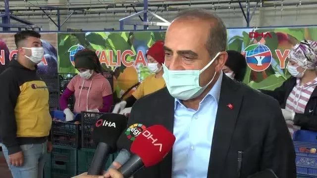 Son dakika: VALİ KÖŞGER, SELÇUK'TA ŞEFTALİ HASADI YAPTI Son dakika: VALİ KÖŞGER, SELÇUK'TA ŞEFTALİ HASADI YAPTI