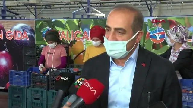 Son dakika: VALİ KÖŞGER, SELÇUK'TA ŞEFTALİ HASADI YAPTI Son dakika: VALİ KÖŞGER, SELÇUK'TA ŞEFTALİ HASADI YAPTI