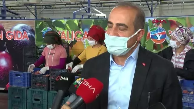 Son dakika: VALİ KÖŞGER, SELÇUK'TA ŞEFTALİ HASADI YAPTI Son dakika: VALİ KÖŞGER, SELÇUK'TA ŞEFTALİ HASADI YAPTI