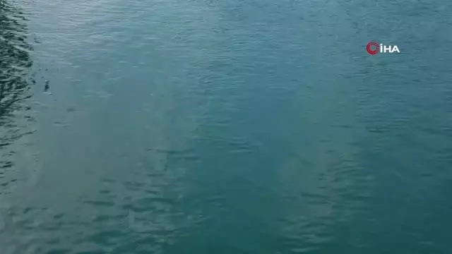 17 yaşındaki genç kayboldu 17 yaşındaki genç kayboldu
