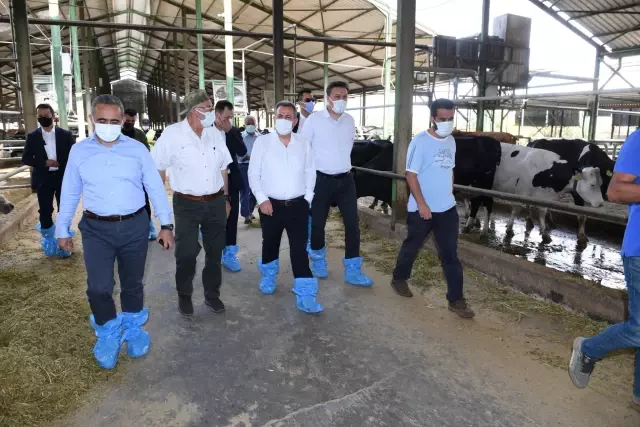 Adana Valisi Süleyman Elban'dan ziyaretler Adana Valisi Süleyman Elban'dan ziyaretler