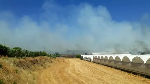 Son dakika haberi! Harabe dükkanda çıkan yangın, ormanlık alana doğru ilerliyor Son dakika haberi! Harabe dükkanda çıkan yangın, ormanlık alana doğru ilerliyor