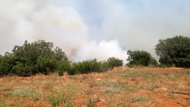 Son dakika haberi! Harabe dükkanda çıkan yangın, ormanlık alana doğru ilerliyor Son dakika haberi! Harabe dükkanda çıkan yangın, ormanlık alana doğru ilerliyor