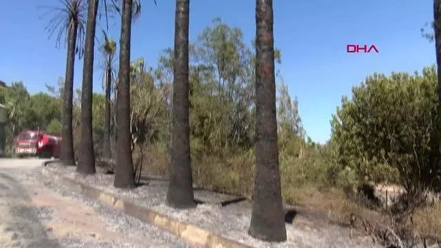 ANTALYA SERİK'TEKİ YANGIN EV VE SERAYA 100 METRE KALA SÖNDÜRÜLDÜ ANTALYA SERİK'TEKİ YANGIN EV VE SERAYA 100 METRE KALA SÖNDÜRÜLDÜ