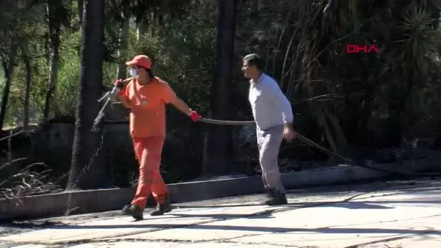 ANTALYA SERİK'TEKİ YANGIN EV VE SERAYA 100 METRE KALA SÖNDÜRÜLDÜ ANTALYA SERİK'TEKİ YANGIN EV VE SERAYA 100 METRE KALA SÖNDÜRÜLDÜ