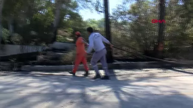 ANTALYA SERİK'TEKİ YANGIN EV VE SERAYA 100 METRE KALA SÖNDÜRÜLDÜ ANTALYA SERİK'TEKİ YANGIN EV VE SERAYA 100 METRE KALA SÖNDÜRÜLDÜ