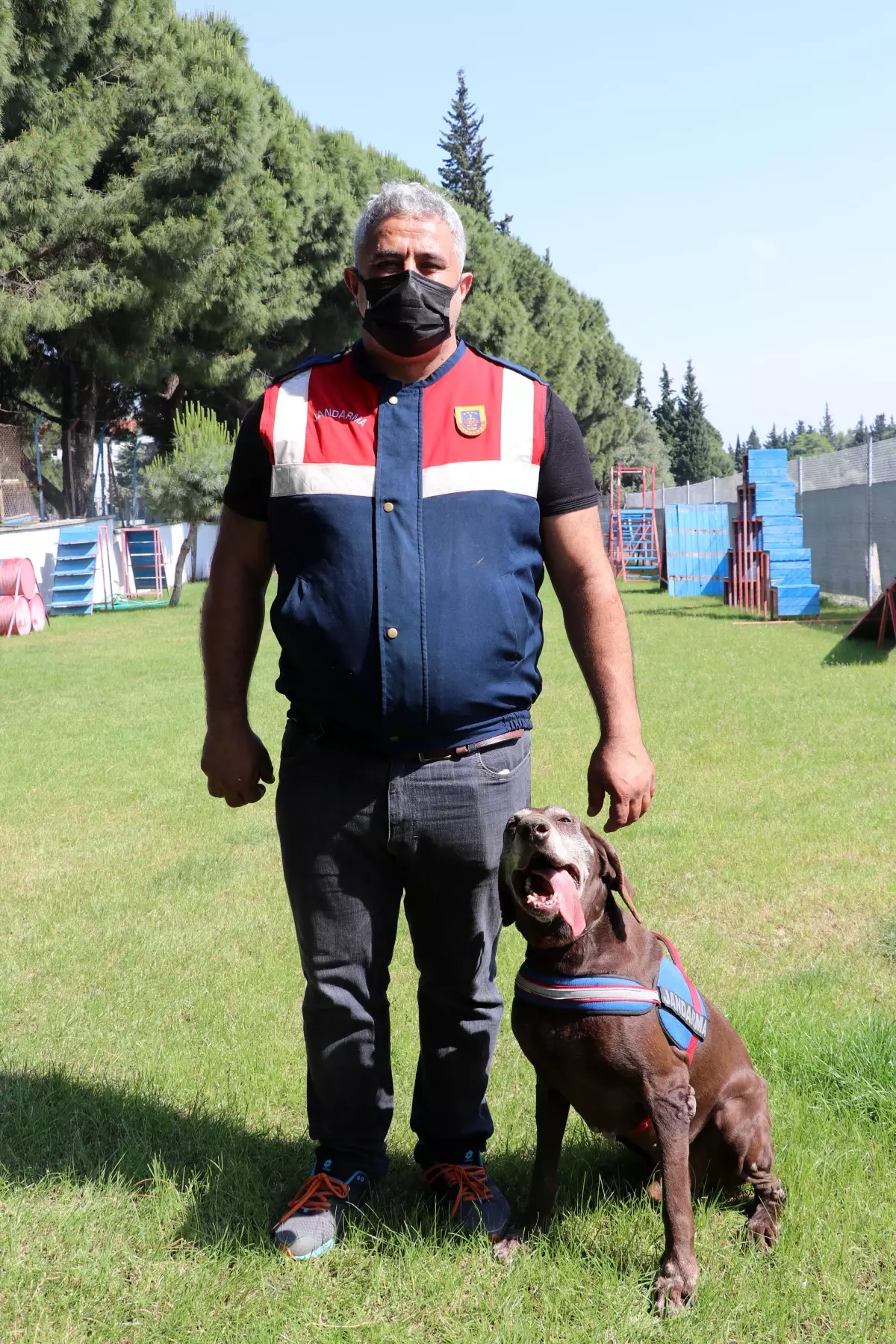 Dedektör köpek Volta'nın 'emekliliği' eğitmeni jandarma personelini üzdü