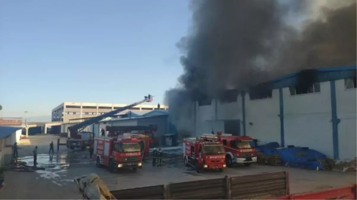 Son dakika haber: Denizli'de nevresim fabrikasında yangın (2) - Yeniden