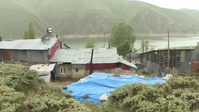 Doğu Anadolu'da muhtarlık seçimi için vatandaşlar sandık başında