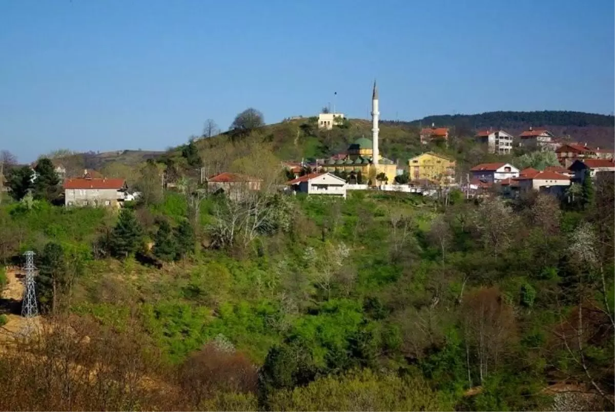 Ereğli'de muhtarlık seçimleri tamamlandı