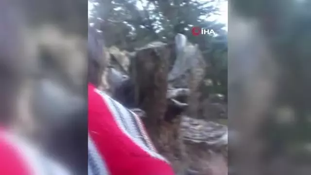 Son dakika haber... Feke'de kaybolan 2 çocuk bulundu Son dakika haber... Feke'de kaybolan 2 çocuk bulundu