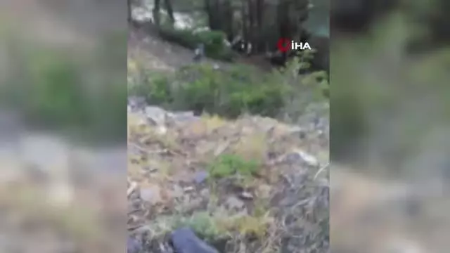 Son dakika haber... Feke'de kaybolan 2 çocuk bulundu Son dakika haber... Feke'de kaybolan 2 çocuk bulundu