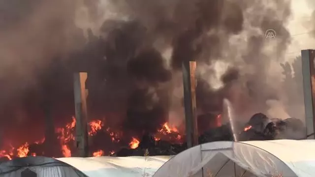 Son dakika gündem: Geri dönüşüm tesisinin bahçesinde çıkan yangına müdahale ediliyor Son dakika gündem: Geri dönüşüm tesisinin bahçesinde çıkan yangına müdahale ediliyor