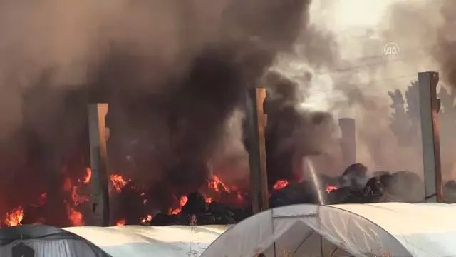 Son dakika gündem: Geri dönüşüm tesisinin bahçesinde çıkan yangına müdahale ediliyor Son dakika gündem: Geri dönüşüm tesisinin bahçesinde çıkan yangına müdahale ediliyor