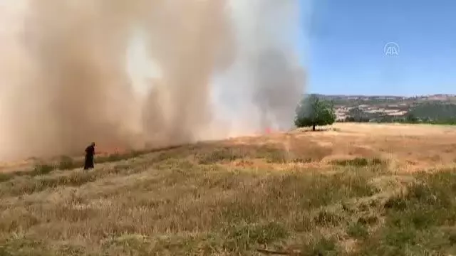 Son dakika haberi: KAHRAMANMARAŞ - Buğday hasadı sırasında çıkan yangın söndürüldü