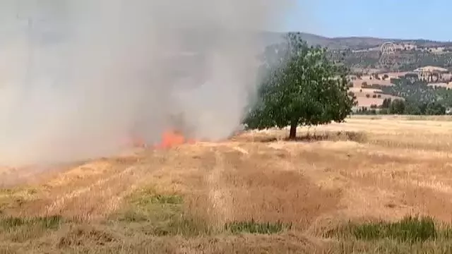 Son dakika haberi: KAHRAMANMARAŞ - Buğday hasadı sırasında çıkan yangın söndürüldü