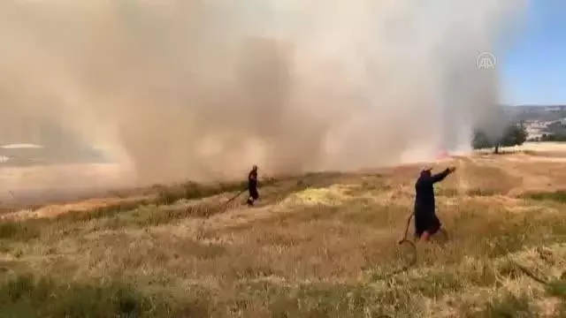 Son dakika haberi: KAHRAMANMARAŞ - Buğday hasadı sırasında çıkan yangın söndürüldü