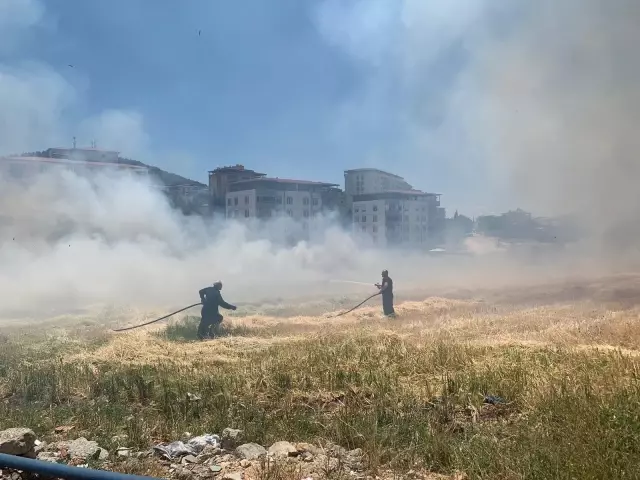 Son dakika haberi: KAHRAMANMARAŞ - Buğday hasadı sırasında çıkan yangın söndürüldü