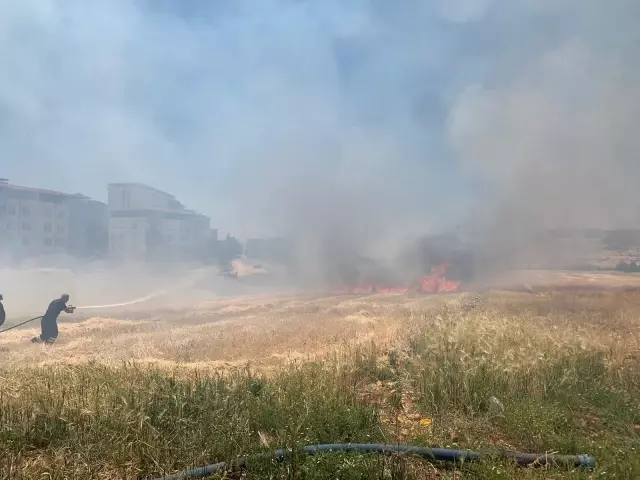 Son dakika haberi: KAHRAMANMARAŞ - Buğday hasadı sırasında çıkan yangın söndürüldü