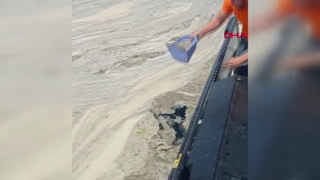 kocaeli kurekle deniz salyasini temizlemeye 2 14182612 o