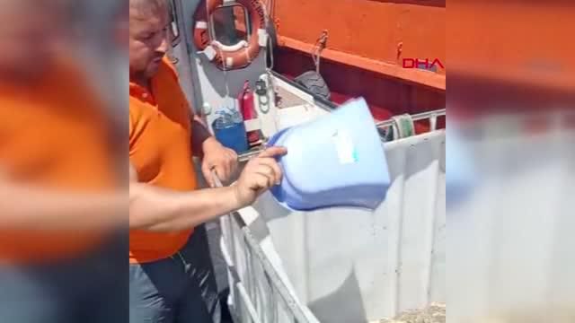 kocaeli kurekle deniz salyasini temizlemeye 3 14182612 o