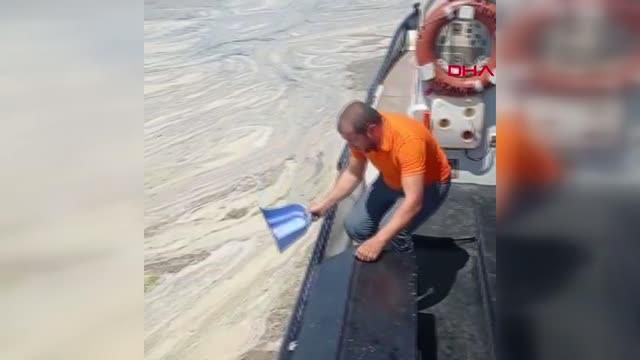 kocaeli kurekle deniz salyasini temizlemeye 4 14182612 o
