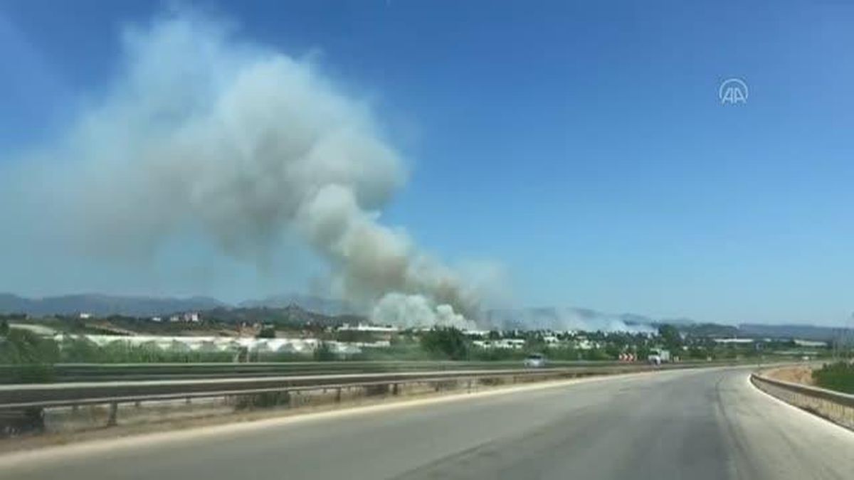 Son dakika gündem: Serik ilçesinde orman yangını