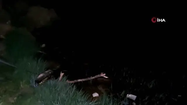 Tekirdağ'da dev yayın balığı yakalandı