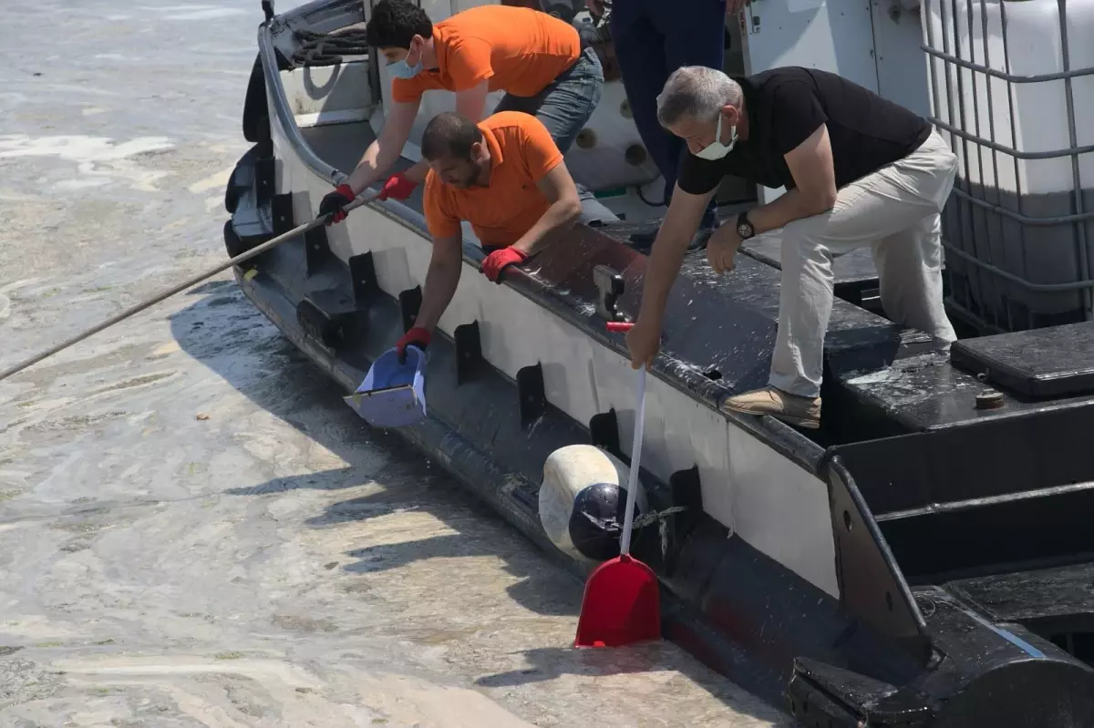 Vatandaşlar deniz salyasını küreklerle topladı
