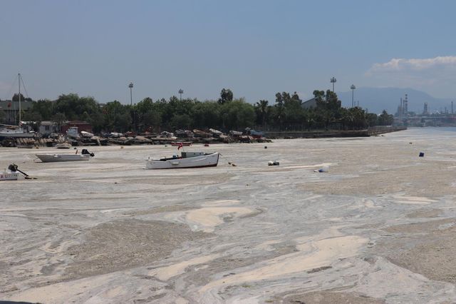 vatandaslar deniz salyasini kureklerle toplad 2 14182950 o