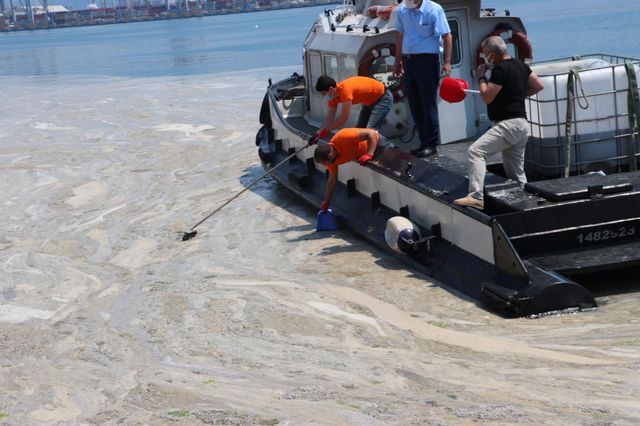 vatandaslar deniz salyasini kureklerle toplad 4 14182950 o