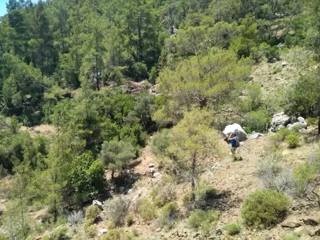 Antalya'da fotoğraf çekmek için gittiği dağlık bölgede kaybolan kişiyi arama çalışmaları sürüyor Antalya'da fotoğraf çekmek için gittiği dağlık bölgede kaybolan kişiyi arama çalışmaları sürüyor