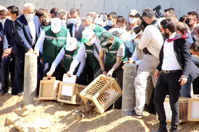 Son dakika: AFYONKARAHİSAR - Bakan Pakdemirli, yapımı tamamlanan Çay Barajı'nda incelemelerde bulundu Son dakika: AFYONKARAHİSAR - Bakan Pakdemirli, yapımı tamamlanan Çay Barajı'nda incelemelerde bulundu