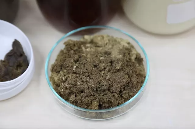 Son dakika haberi... Propolisten boğaz ve burun spreyi üretti