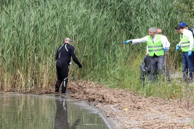 Gönüllüler, Karadeniz sahili ile Sapanca Gölü çevresindeki çöpleri topladı