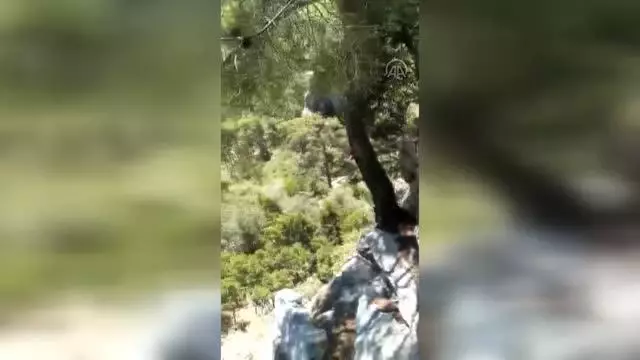 Antalya'da fotoğraf çekmek için gittiği dağlık bölgede kaybolan kişiyi arama çalışmaları sürüyor Antalya'da fotoğraf çekmek için gittiği dağlık bölgede kaybolan kişiyi arama çalışmaları sürüyor