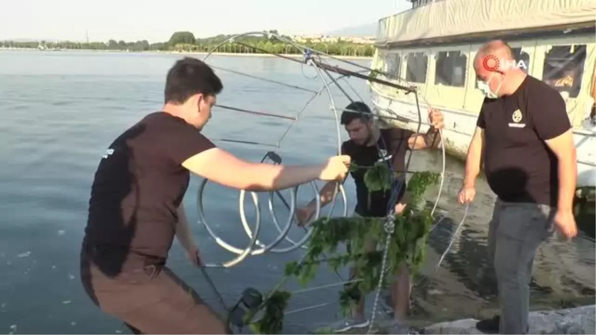 Gençlerin projesi denizi temizleyerek canlı popülasyonunu arttıracak