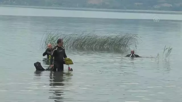 Gönüllüler, Karadeniz sahili ile Sapanca Gölü çevresindeki çöpleri topladı