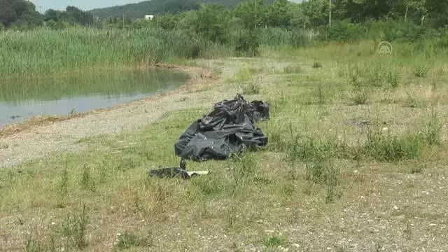 Gönüllüler, Karadeniz sahili ile Sapanca Gölü çevresindeki çöpleri topladı