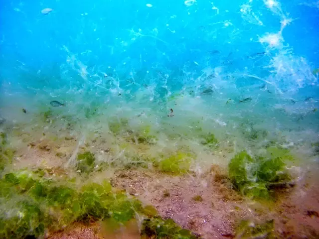 istanbul un suyu daha az temizlendi 9 14184163 o