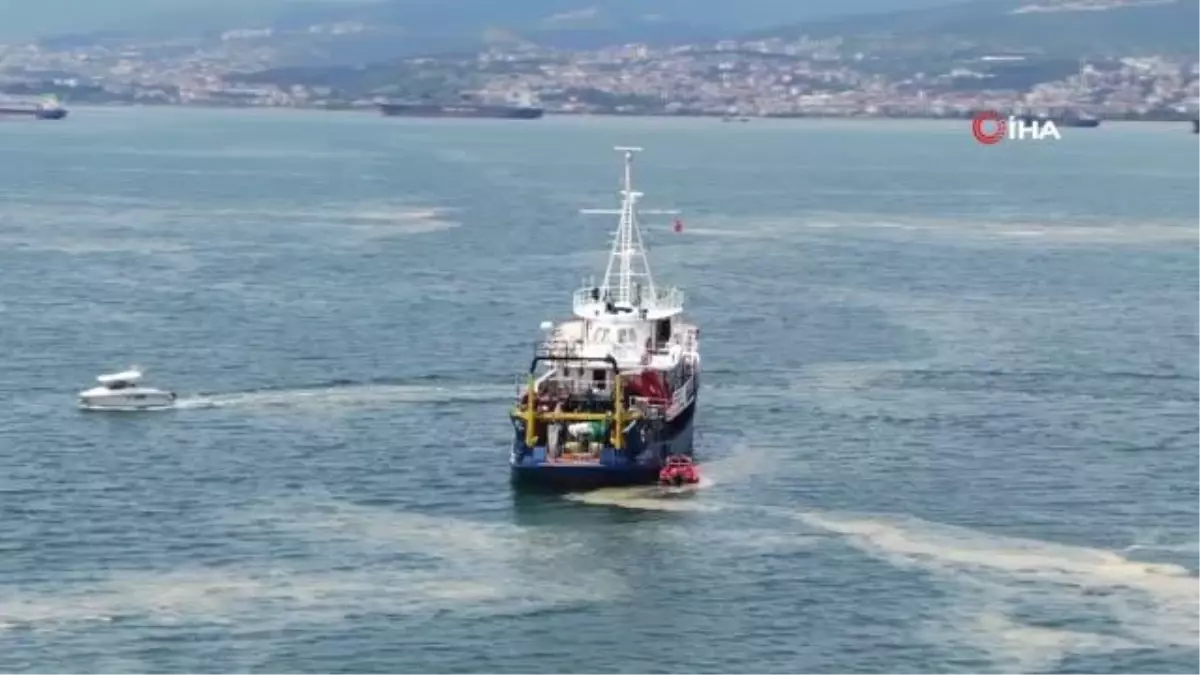 İzmit Körfezi'nde deniz salyası seferberliği... 200 tondan fazla deniz salyası temizlendi