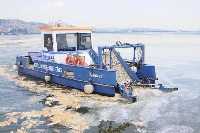izmit korfezi nden her gun 2 5 ton musilaj 11 14184302 o