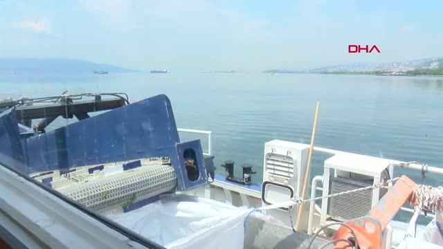 izmit korfezi nden her gun 2 5 ton musilaj 2 14184302 o